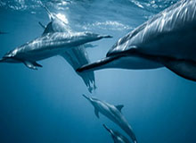 开云体育下载-邵化谦：女篮奥运好签暗藏凶险